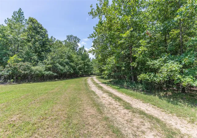 4th image of 1421 County Road 420, Piedmont, MO 63957 | MLS# 24047361