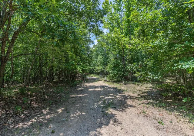 5th image of 1421 County Road 420, Piedmont, MO 63957 | MLS# 24047361