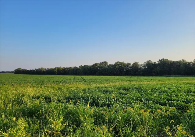 Photo 1 of Land for sale at 0 Hwy Dd (17+/  Ac) Tract B, Bellflower, MO 63333 | MLS# 24048859 | Listing updated on 2024-10-21