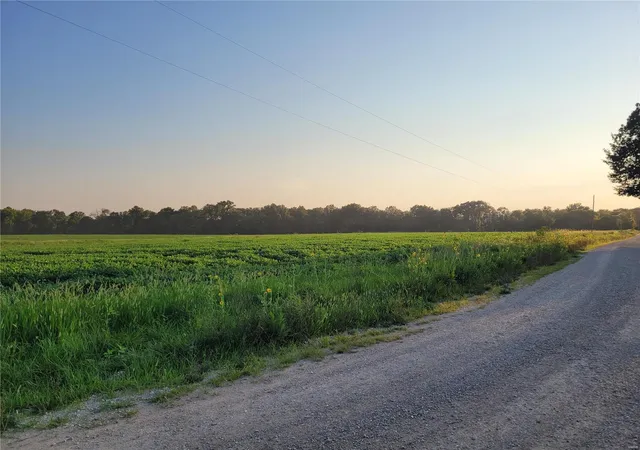 Photo 2 of Land for sale at 0 Hwy Dd (17+/  Ac) Tract B, Bellflower, MO 63333 | MLS# 24048859 | Listing updated on 2024-10-21