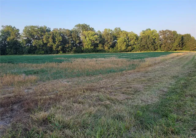 Photo 2 of Land for sale at 0 Hwy Dd (5+/  Ac) Tract D, Bellflower, MO 63333 | MLS# 24048862 | Listing updated on 2024-10-21