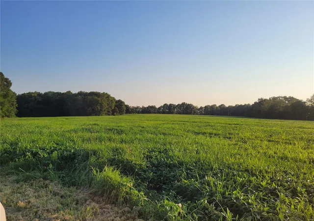 Photo 1 of Land for sale at 0 Hwy Dd (8569+/  Ac) Tract E, Bellflower, MO 63333 | MLS# 24048866 | Listing updated on 2024-10-21