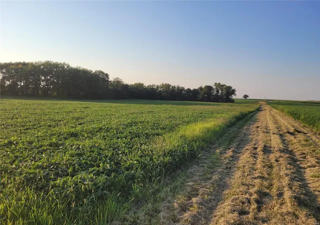 Photo 2 of Land for sale at 0 Hwy Dd (8569+/  Ac) Tract E, Bellflower, MO 63333 | MLS# 24048866 | Listing updated on 2024-10-21