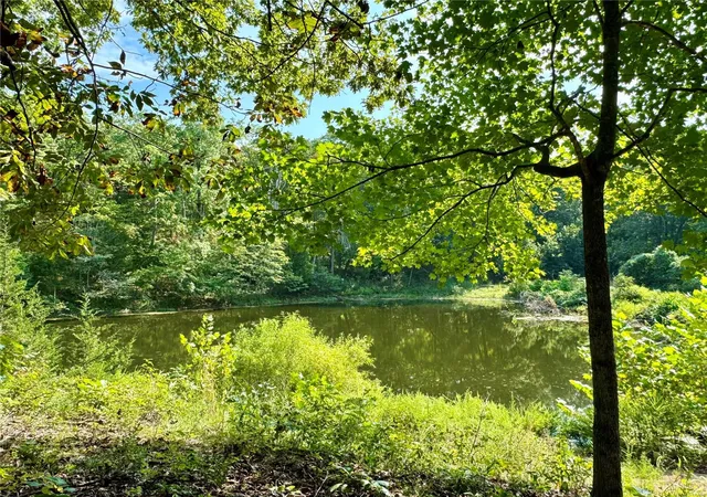 Photo 3 of Land for sale at 0 State Hwy D, Marthasville, MO 63357 | MLS# 24048989 | Listing updated on 2024-09-26