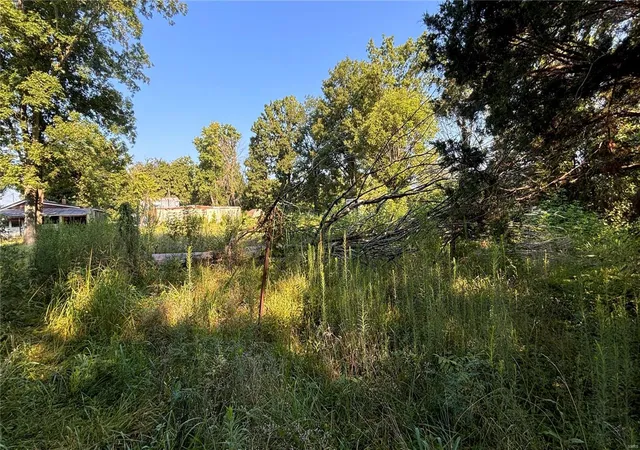 Photo 1 of Land for sale at 63 County Road 316, Poplar Bluff, MO 63901 | MLS# 24049785 | Listing updated on 2024-08-07