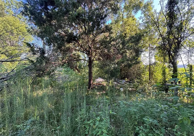 Photo 2 of Land for sale at 63 County Road 316, Poplar Bluff, MO 63901 | MLS# 24049785 | Listing updated on 2024-08-07