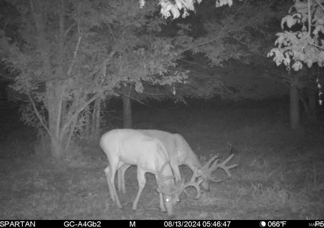Photo 3 of Land for sale at 21 Hematite Farms Rd, Festus, MO 63028 | MLS# 24050715 | Listing updated on 2024-09-06