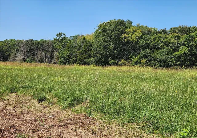 Photo 3 of Land for sale at 0 Hwy 19, Salem, MO 65560 | MLS# 24052721 | Listing updated on 2024-08-27