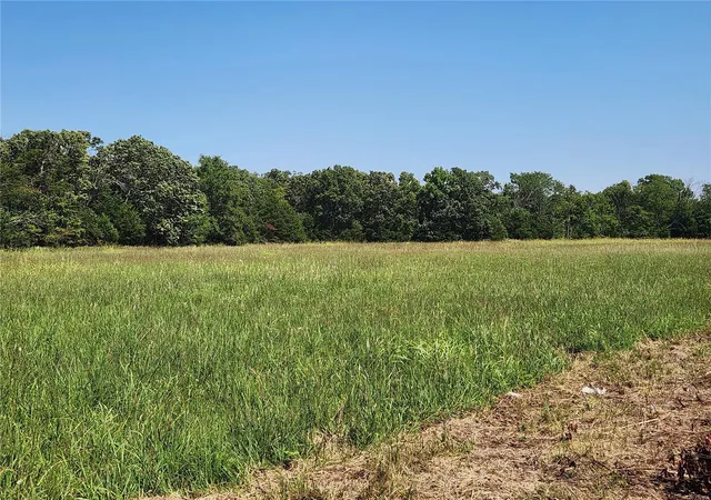 Photo 3 of House for sale at 0 Hwy 19, Salem, MO 65560 | MLS# 24052721 | Listing updated on 2024-08-27