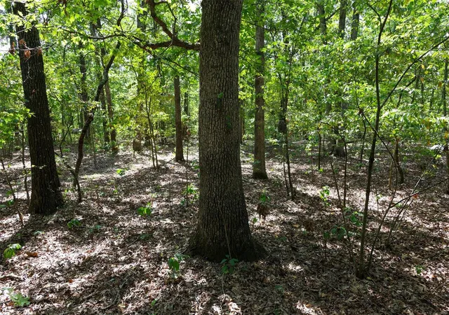 Photo 3 of Land for sale at 0 Hwy 221 Hwy, Ironton, MO 63650 | MLS# 24053063 | Listing updated on 2024-08-21