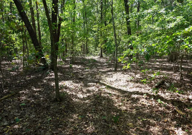 Photo 4 of House for sale at 0 Hwy 221 Hwy, Ironton, MO 63650 | MLS# 24053063 | Listing updated on 2024-08-21