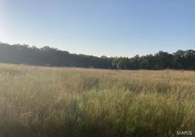 11th image of 0 N Hwy 60, Poplar Bluff, MO 63901 | MLS# 24053378