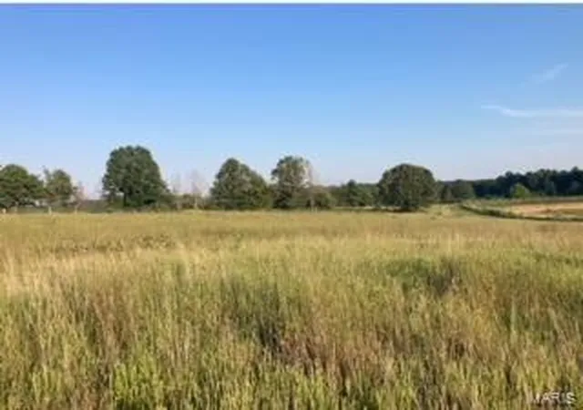 3rd image of 0 N Hwy 60, Poplar Bluff, MO 63901 | MLS# 24053378