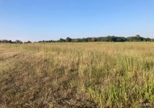 4th image of 0 N Hwy 60, Poplar Bluff, MO 63901 | MLS# 24053378