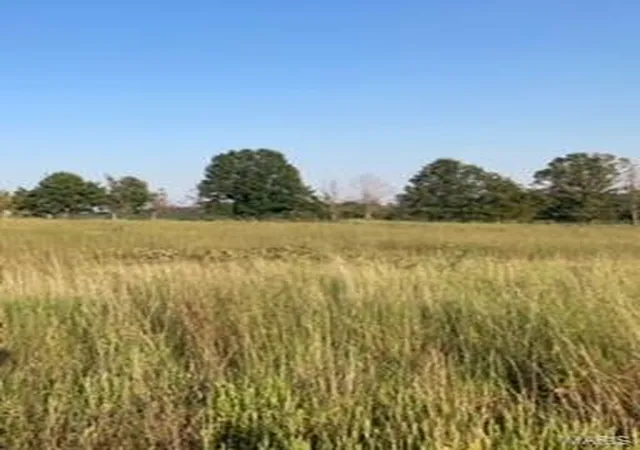 5th image of 0 N Hwy 60, Poplar Bluff, MO 63901 | MLS# 24053378