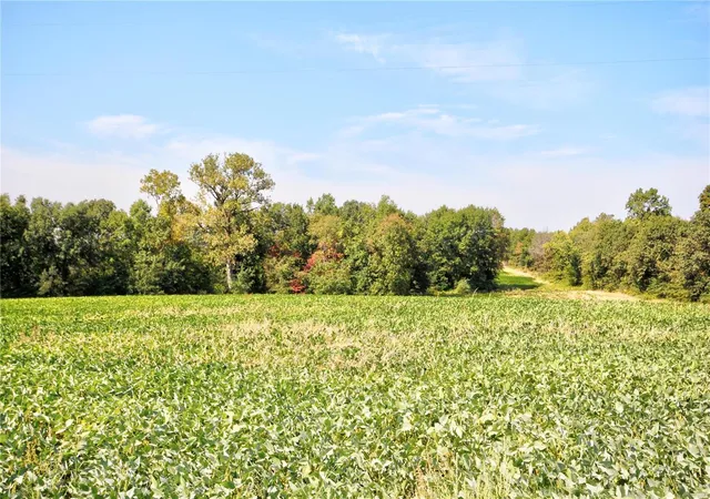 Photo 19 of Land for sale at 0 80 Ac M/l Pike 409, New Hartford, MO 63359 | MLS# 24053429 | Listing updated on 2024-09-27