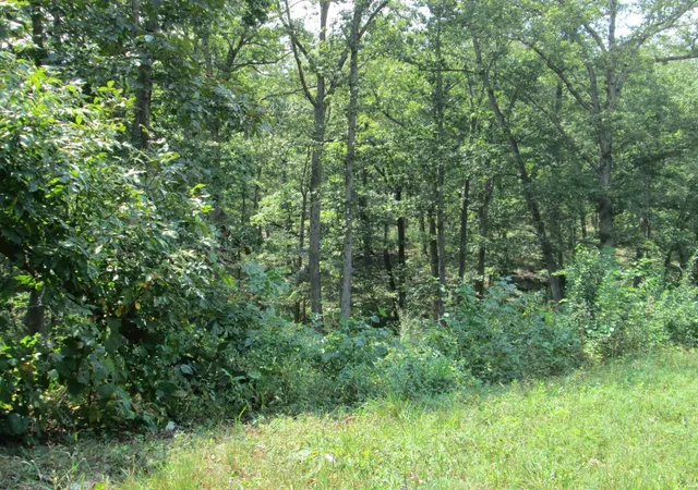 Photo 3 of Land for sale at 0 Hwy 30 Gravois Rd 1473 Acres, Saint Clair, MO 63077 | MLS# 24055324 | Listing updated on 2024-11-19