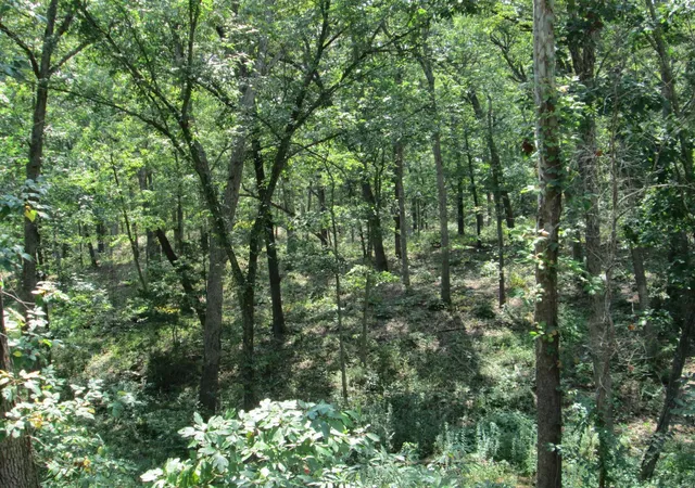 Photo 3 of House for sale at 0 Hwy 30 Gravois Rd 1473 Acres, Saint Clair, MO 63077 | MLS# 24055324 | Listing updated on 2024-11-19
