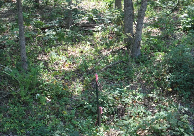 Photo 4 of House for sale at 0 Hwy 30 Gravois Rd 1473 Acres, Saint Clair, MO 63077 | MLS# 24055324 | Listing updated on 2024-11-19