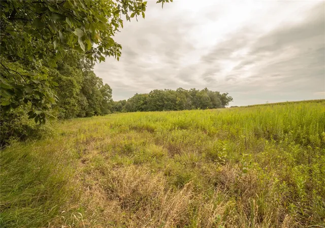 Photo 29 of Land for sale at 86 Combs Rd, Bellflower, MO 63333 | MLS# 24055787 | Listing updated on 2024-10-04