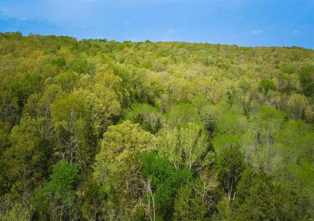 Photo 17 of Land for sale at 477 Windes Ridge Road, Richland, MO 65556 | MLS# 24055926 | Listing updated on 2024-09-04