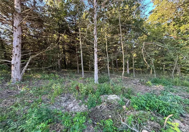 Photo 8 of Land for sale at 1 Appaloosa Trl, Monroe City, MO 63456 | MLS# 24056600 | Listing updated on 2024-12-11