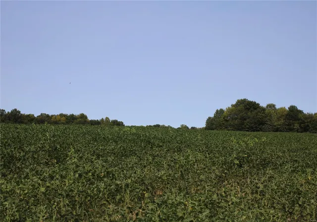Photo 2 of Sale Pending at 17269 Monroe Road 709, Paris, MO 65275 | MLS# 24057063 | Listing updated on 2024-11-23