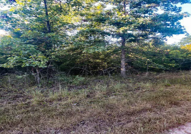 Photo 5 of Land for sale at 0 Robin Rd, Bellflower, MO 63333 | MLS# 24057750 | Listing updated on 2025-03-03