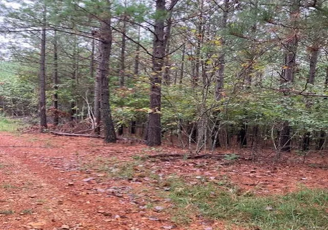 Photo 2 of Land for sale at 28 Madison Cr 410, Fredericktown, MO 63645 | MLS# 24058970 | Listing updated on 2025-03-05