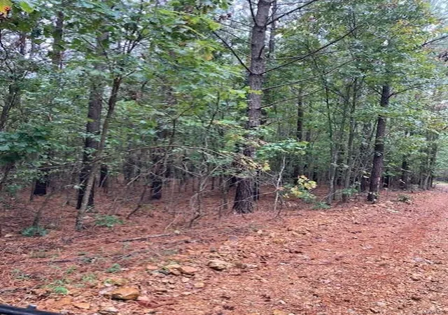 Photo 1 of Land for sale at 29 Madison Cr 410, Fredericktown, MO 63645 | MLS# 24058993 | Listing updated on 2025-03-05