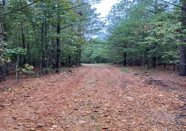 Photo 2 of Land for sale at 29 Madison Cr 410, Fredericktown, MO 63645 | MLS# 24058993 | Listing updated on 2025-03-05