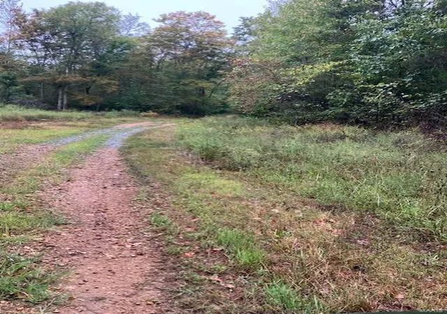 Photo 1 of Land for sale at 31 Madison Cr 410, Fredericktown, MO 63645 | MLS# 24058997 | Listing updated on 2025-03-05