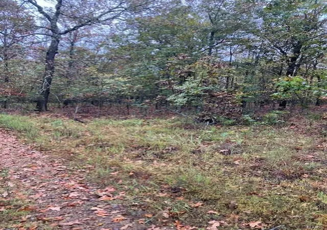 Photo 2 of Land for sale at 43 Madison Cr 410, Fredericktown, MO 63645 | MLS# 24059034 | Listing updated on 2025-03-05