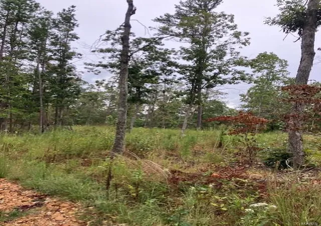 Photo 1 of Land for sale at 44 Madison Cr 410, Fredericktown, MO 63645 | MLS# 24059035 | Listing updated on 2025-03-05