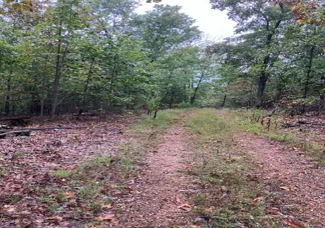 Photo 2 of Land for sale at 44 Madison Cr 410, Fredericktown, MO 63645 | MLS# 24059035 | Listing updated on 2025-03-05