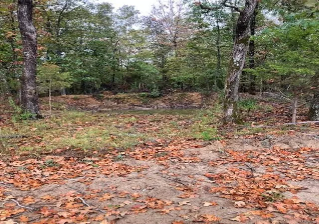 Photo 2 of Land for sale at 47 Madison Cr 410, Fredericktown, MO 63645 | MLS# 24059037 | Listing updated on 2025-03-05