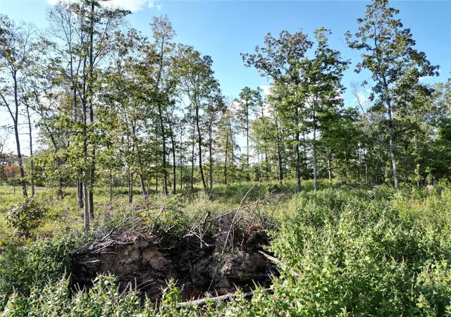 Photo 14 of Land for sale at 2 Madison County Cr 410, Fredericktown, MO 63645 | MLS# 24059131 | Listing updated on 2024-09-18