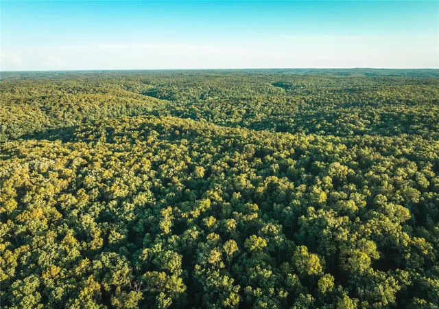Photo 1 of Land for sale at 0 Cedar Frd Tract 2a Rd, Steelville, MO 65565 | MLS# 24059274 | Listing updated on 2024-09-21