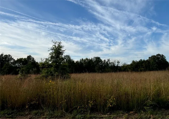 Photo 2 of Land for sale at 19 Hays Ln, Perry, MO 63462 | MLS# 24059571 | Listing updated on 2024-09-20