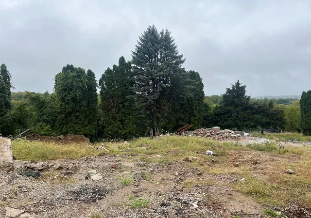 Photo 3 of Land for sale at 1519 Grape St, Hannibal, MO 63401 | MLS# 24060527 | Listing updated on 2025-03-10