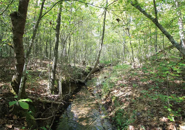 2nd image of 0 Madison Cr 9421 (107), Fredericktown, MO 63645 | MLS# 24060547