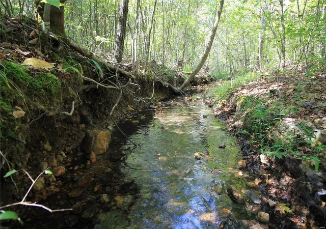 Photo 3 of Land for sale at 0 Madison Cr 9421 (107), Fredericktown, MO 63645 | MLS# 24060547 | Listing updated on 2024-11-15