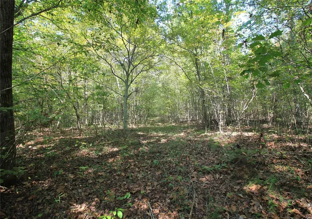 Photo 3 of House for sale at 0 Madison Cr 9421 (107), Fredericktown, MO 63645 | MLS# 24060547 | Listing updated on 2024-11-15