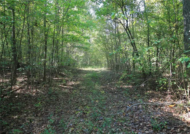 Photo 4 of House for sale at 0 Madison Cr 9421 (107), Fredericktown, MO 63645 | MLS# 24060547 | Listing updated on 2024-11-15