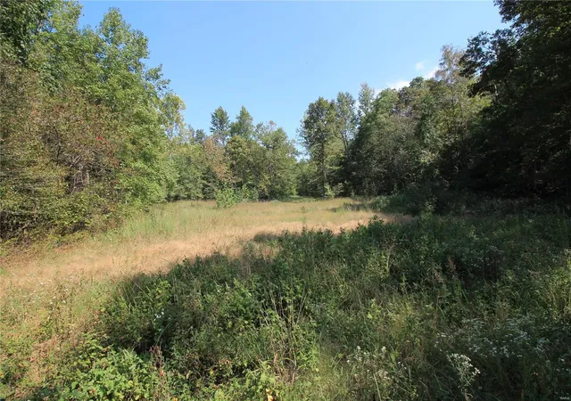 2nd image of 0 Madison Cr 410 (108), Fredericktown, MO 63645 | MLS# 24060864
