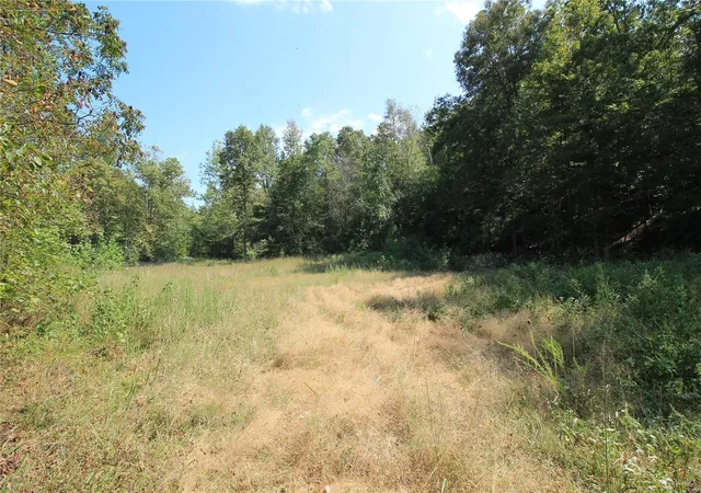 Photo 3 of Land for sale at 0 Madison Cr 410 (108), Fredericktown, MO 63645 | MLS# 24060864 | Listing updated on 2024-11-15