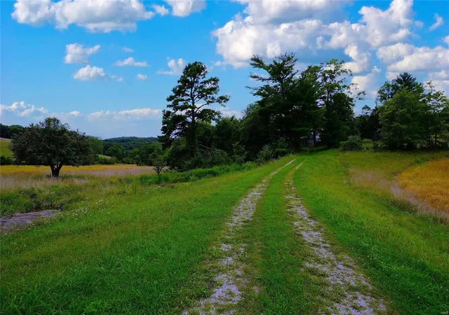 Photo 2 of Land for sale at 1851 Hwy 100, Hermann, MO 65041 | MLS# 24061201 | Listing updated on 2025-02-27