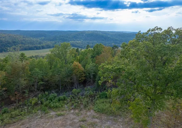 3rd image of 0 Madison Cr 411 (124), Fredericktown, MO 63645 | MLS# 24061291