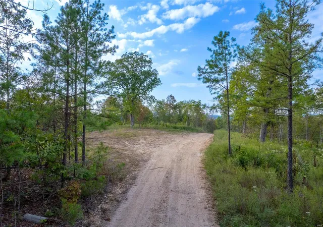 4th image of 0 Madison Cr 411 (124), Fredericktown, MO 63645 | MLS# 24061291
