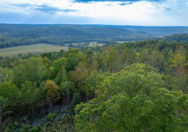5th image of 0 Madison Cr 411 (124), Fredericktown, MO 63645 | MLS# 24061291
